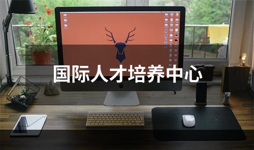 国际人才培养中心