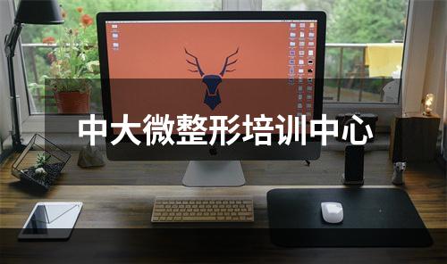 中大微整形培训中心