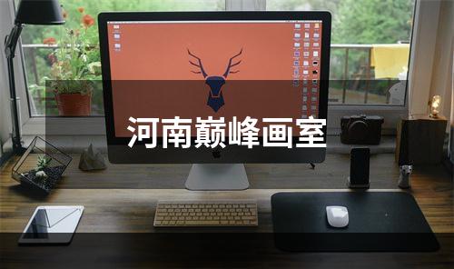 河南巅峰画室