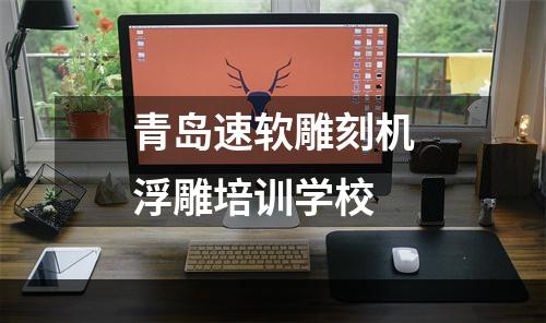 青岛速软雕刻机浮雕培训学校