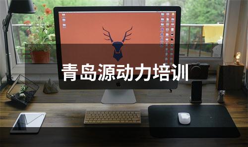 青岛源动力培训