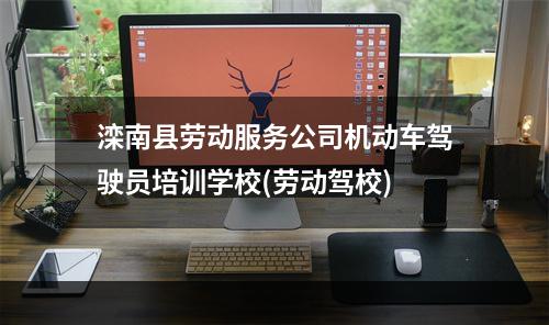 滦南县劳动服务公司机动车驾驶员培训学校(劳动驾校)