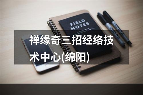 禅缘奇三招经络技术中心(绵阳)