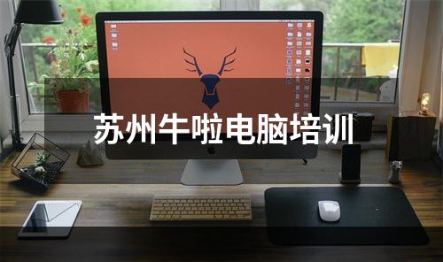 苏州牛啦电脑培训