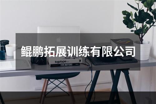 鲲鹏拓展训练有限公司