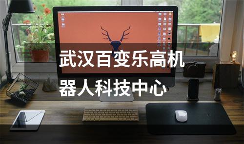 武汉百变乐高机器人科技中心