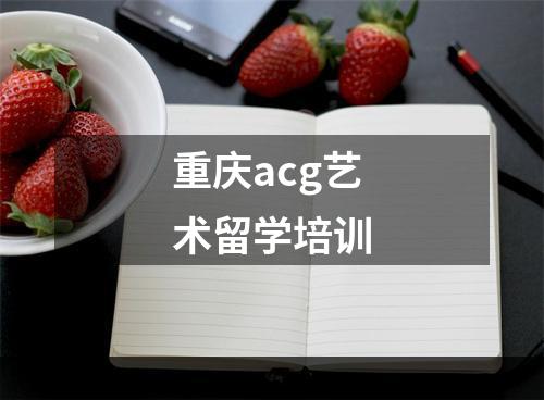 重庆acg艺术留学培训