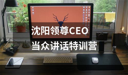 沈阳领尊CEO当众讲话特训营