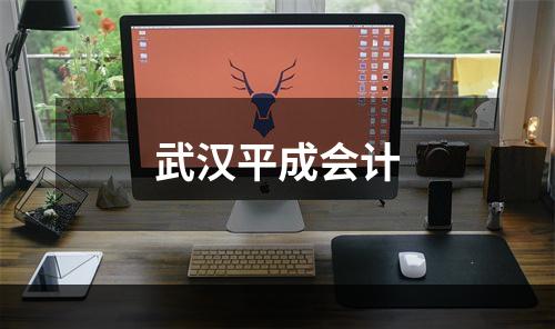武汉平成会计