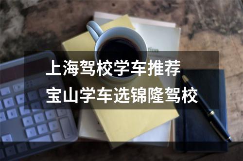 上海驾校学车推荐 宝山学车选锦隆驾校