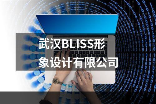 武汉BLISS形象设计有限公司