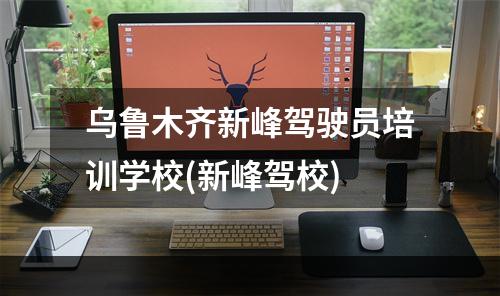 乌鲁木齐新峰驾驶员培训学校(新峰驾校)
