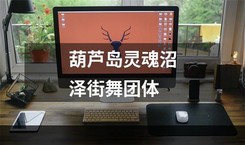 葫芦岛灵魂沼泽街舞团体