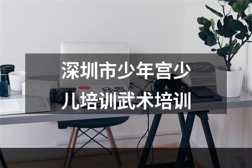 深圳市少年宫少儿培训武术培训