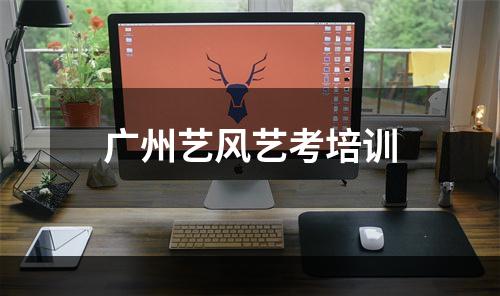 广州艺风艺考培训