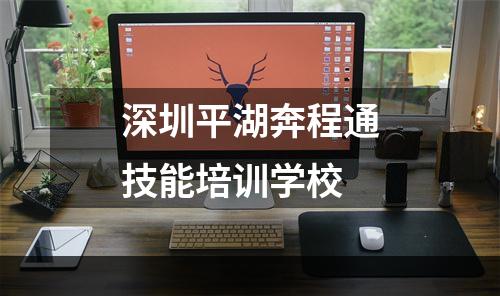 深圳平湖奔程通技能培训学校