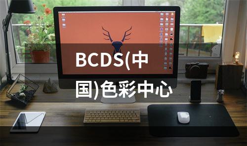 BCDS(中国)色彩中心