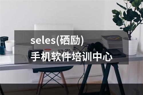 seles(硒励)手机软件培训中心