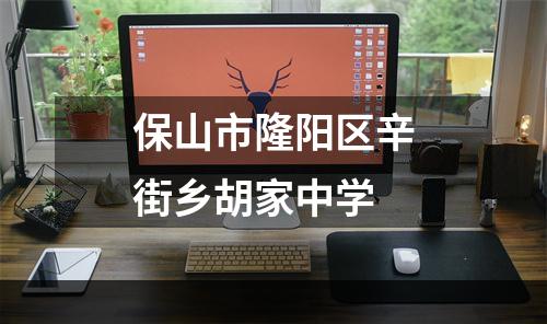 保山市隆阳区辛街乡胡家中学
