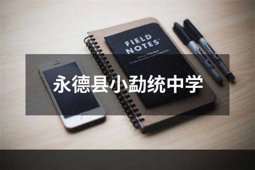 永德县小勐统中学