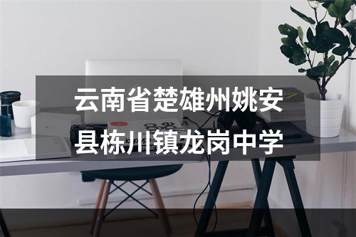 云南省楚雄州姚安县栋川镇龙岗中学