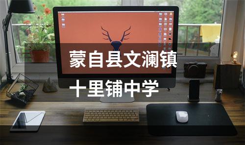 蒙自县文澜镇十里铺中学