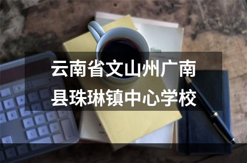 云南省文山州广南县珠琳镇中心学校