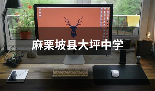麻栗坡县大坪中学