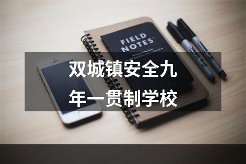 双城镇安全九年一贯制学校