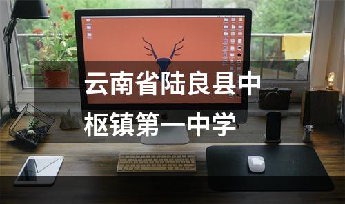 云南省陆良县中枢镇第一中学