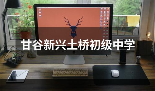 甘谷新兴土桥初级中学