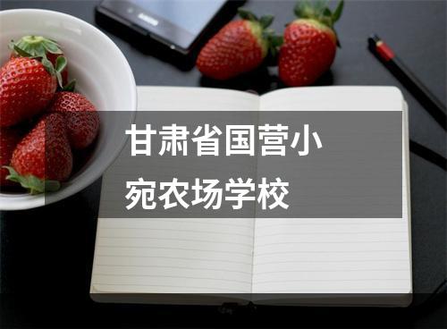 甘肃省国营小宛农场学校