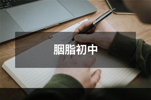 胭脂初中