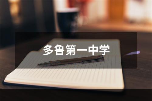 多鲁第一中学