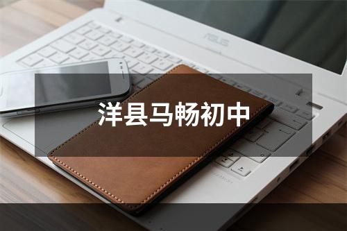 洋县马畅初中