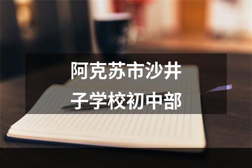 阿克苏市沙井子学校初中部