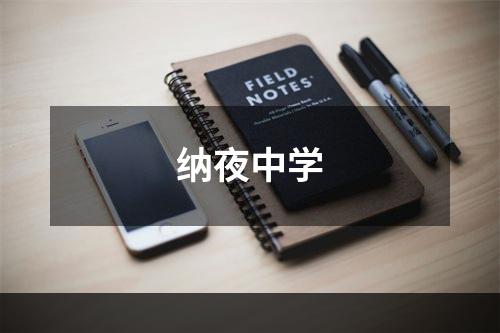 纳夜中学