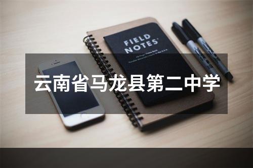 云南省马龙县第二中学