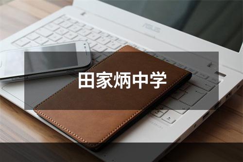 田家炳中学