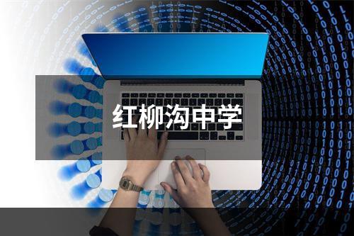 红柳沟中学