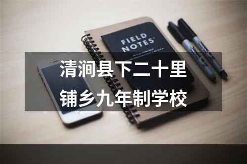 清涧县下二十里铺乡九年制学校