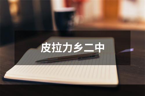 皮拉力乡二中