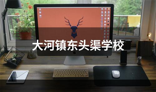 大河镇东头渠学校