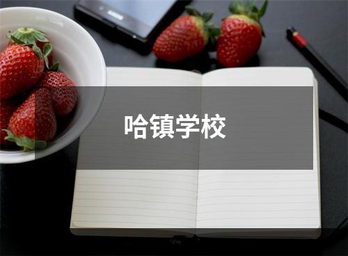 哈镇学校