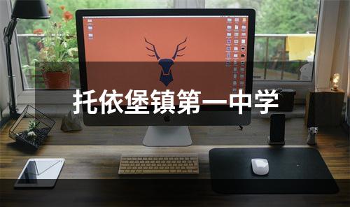 托依堡镇第一中学