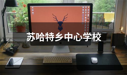 苏哈特乡中心学校