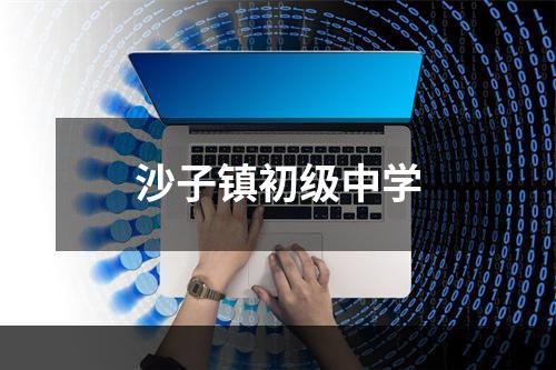 沙子镇初级中学