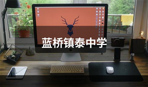 蓝桥镇泰中学