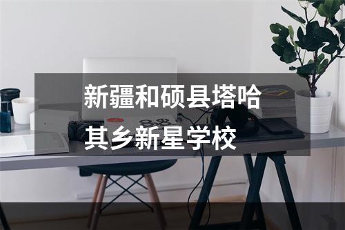 新疆和硕县塔哈其乡新星学校