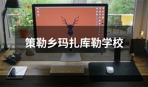 策勒乡玛扎库勒学校